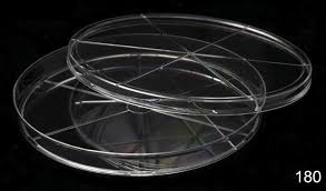 180 PLATOS PETRI PHOENIX 140 X 15 MM