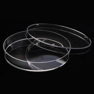 360 PLATOS MONO PETRI PHOENIX 90X15 MM