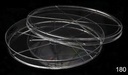 180 PLATOS PETRI PHOENIX 140 X 15 MM